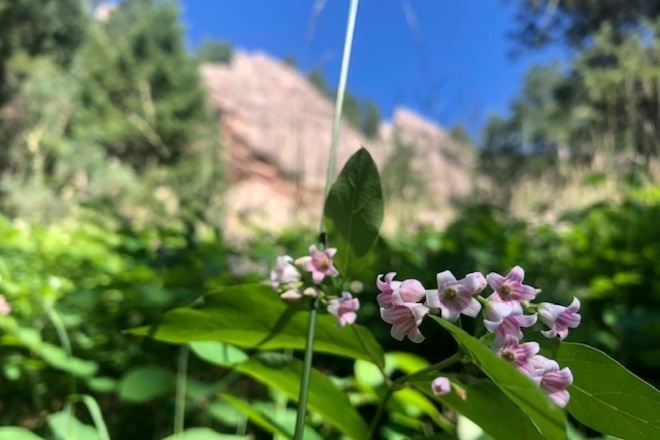 Boulder Highlights Private Walking Tour