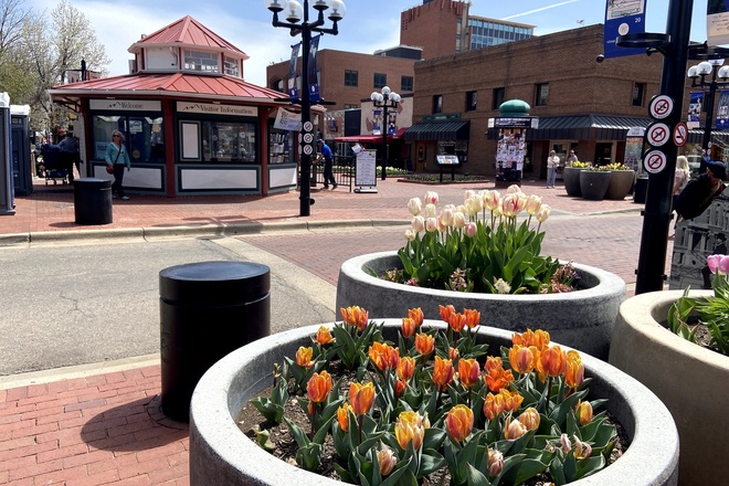 Boulder Highlights Private Walking Tour
