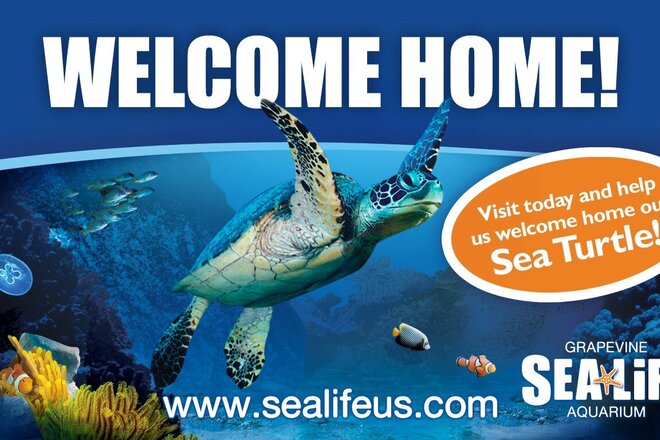SEA LIFE Aquarium Admission