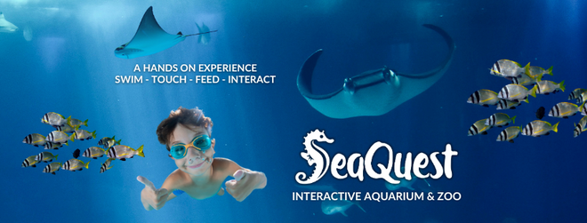 Seaquest- Admissions