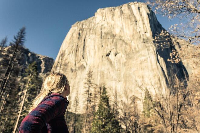 Yosemite and Giant Sequoias One-Day Tour from San Francisco