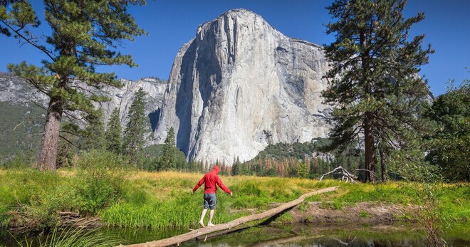 Yosemite and Giant Sequoias One-Day Tour from San Francisco
