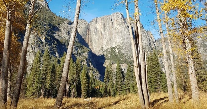 Yosemite 4 Day Tour - No Accommodation included