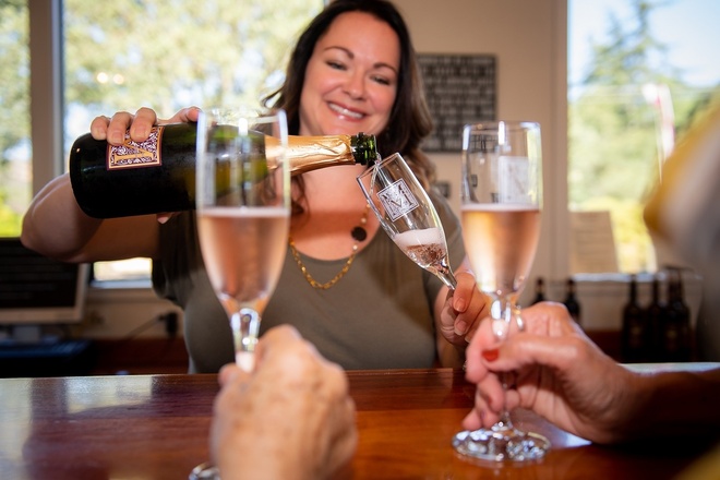 Redwoods and California Wine Country Tour