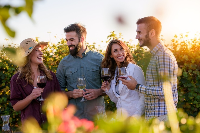 Redwoods and California Wine Country Tour