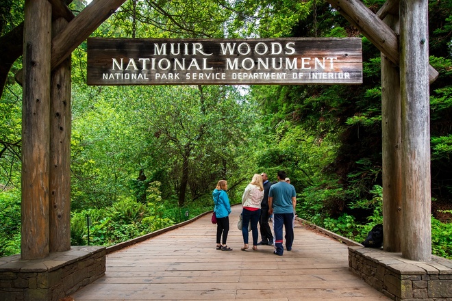 Redwoods and California Wine Country Tour