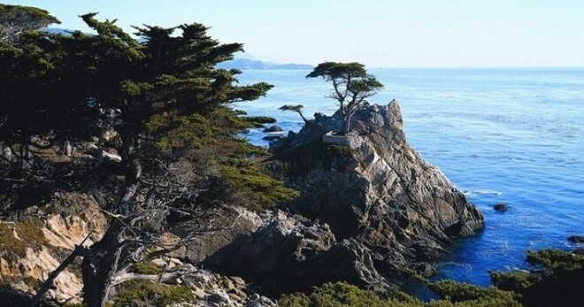 Monterey Bus Tour with Carmel-by-the-Sea