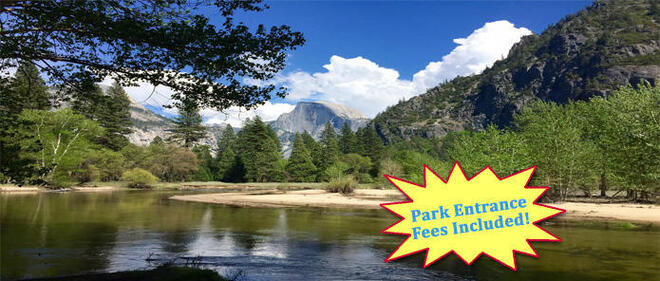 Yosemite in a Day Tour