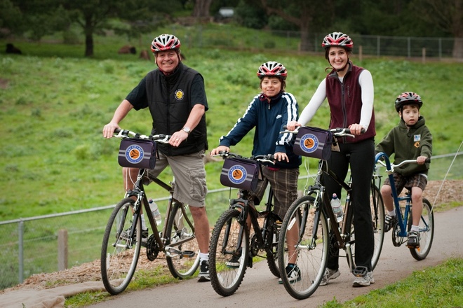 Bike Rental Online