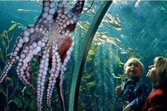 Create Listing: Aquarium of the Bay
