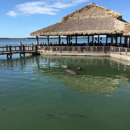 Islamorada Food Tour