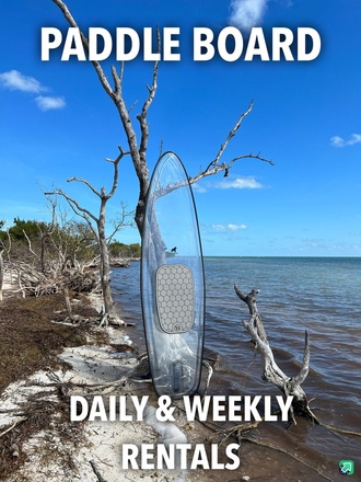 Daily & Weekly Rentals