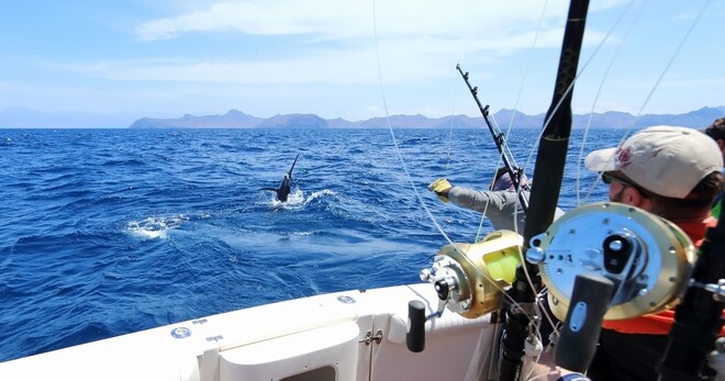 SALT Luxury Private Charter Big Game Saltwater Sport fishing