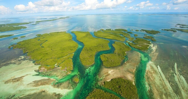 The Ultimate Island Experience