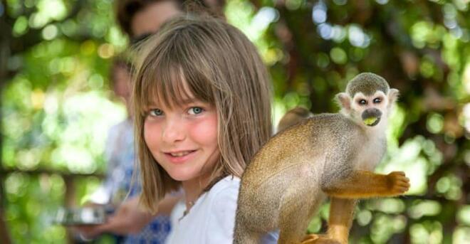Monkeyland and Plantation tour: 5 hrs with Transportation