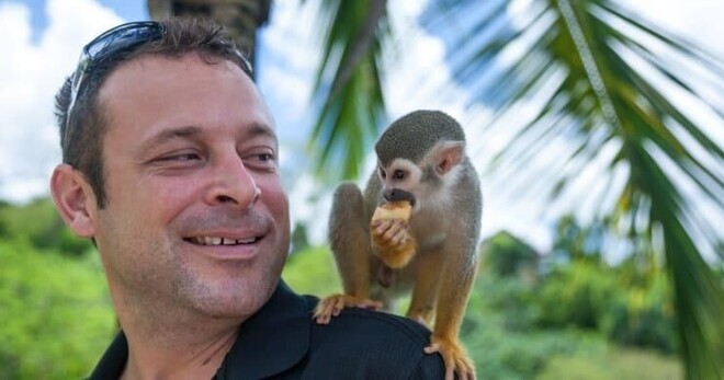 Monkeyland and Plantation tour: 5 hrs with Transportation