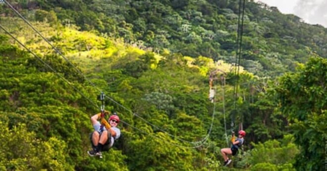 Zip Line Adventures + Monkeyland Punta Cana