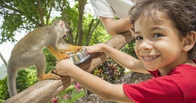 Zip Line Adventures + Monkeyland - La Romana