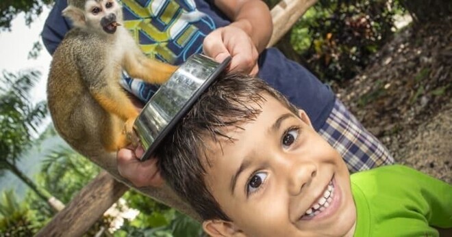 Monkeyland La Romana