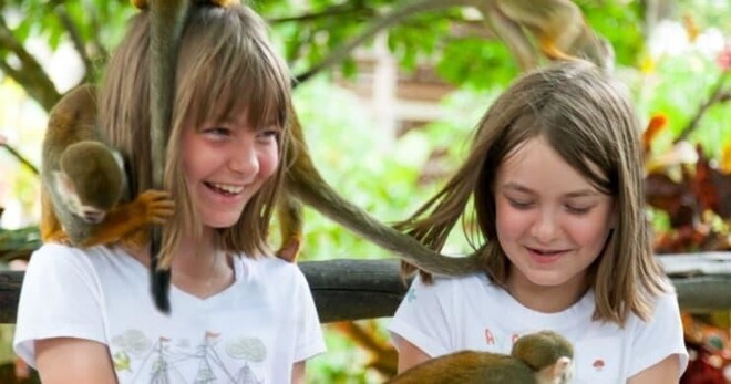Monkeyland La Romana