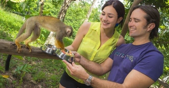 Monkeyland La Romana