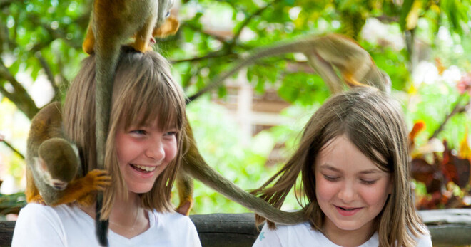 Monkeyland Samaná
