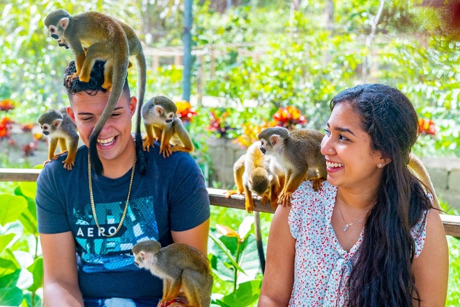 Buggies + Monkeyland at Puerto Plata