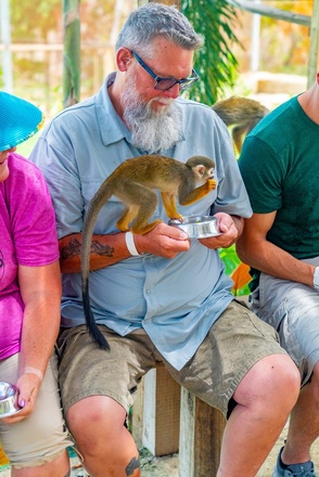 Buggies + Monkeyland at Puerto Plata