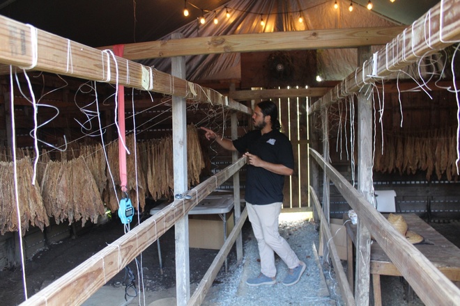 Smoke & Soil: A Journey Through Tobacco Traditions