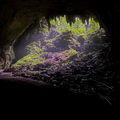 Create Listing: Camuy Caves Experience Tour with Transportation