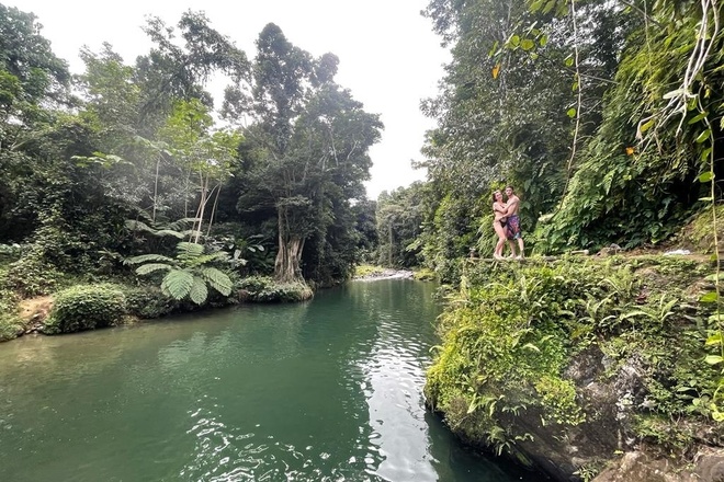 Half-Day Rainforest tour