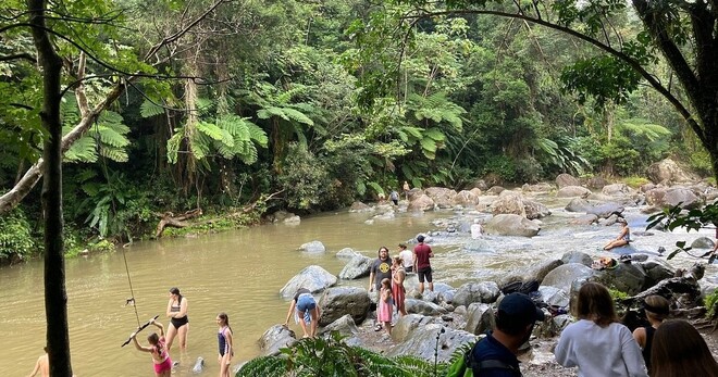 Half-Day Rainforest tour