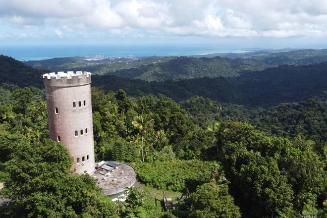 El Yunque Rainforest  Hiking Tour