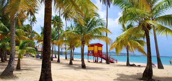 El Yunque & Luquillo Beach