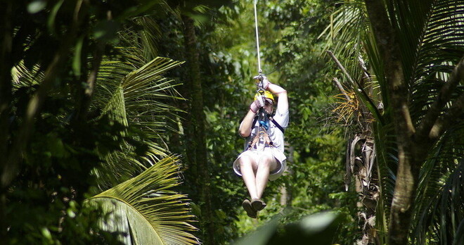 TreeTop Canopy Adventure