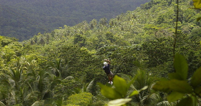 TreeTop Canopy Adventure