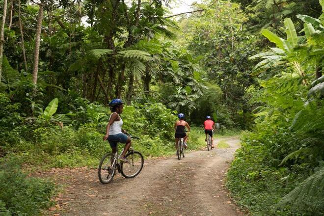 Rainforest Cycling Adventures