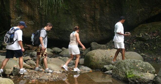 Rainforest Hike Adventure