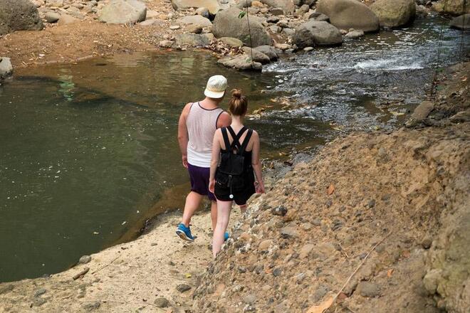Rainforest Hike Adventure