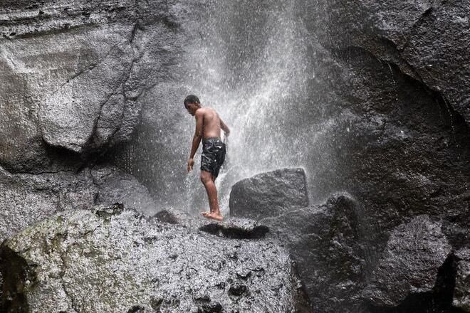 Rainforest Hike Adventure