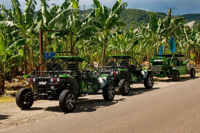 Soufriere Safari from North