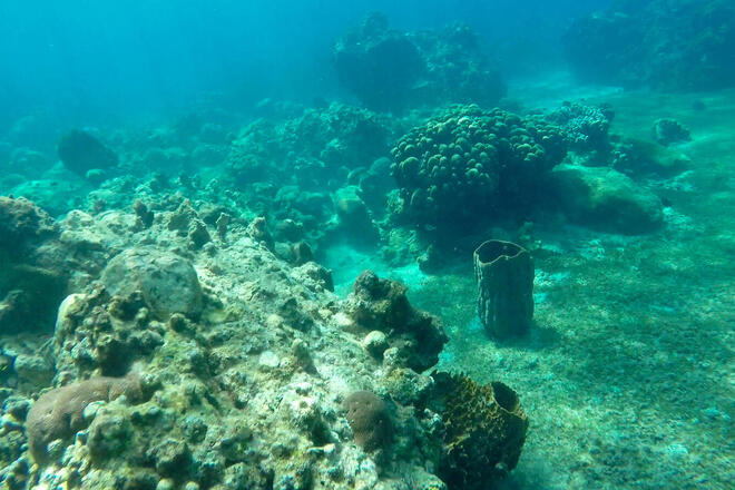 Power Snorkel