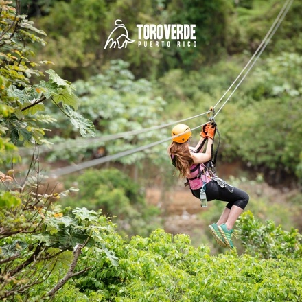 Zipline Adventure Transportation Combo
