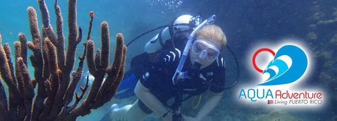 Dive San Juan - Caribe Hilton Shore/Beach Dive