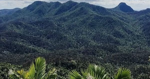 Casual One- El Yunque Rainforest, Waterslides, Beach, Dine, 