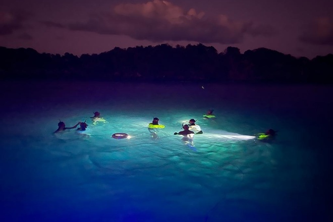 Nite Snorkeling and Boat Experience