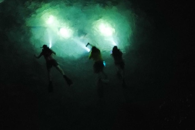 Nite Snorkeling and Boat Experience