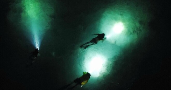 Nite Snorkeling and Boat Experience