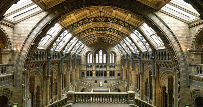 Natural History Museum of London Guided Tour - Semi-Private 