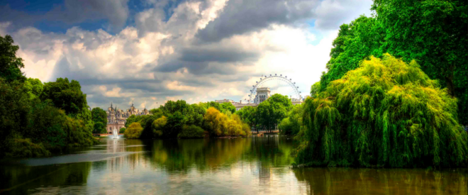 Half Day London Highlights Tour